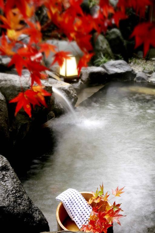 Ichikawa Bekkan Seikanso Shibukawa Экстерьер фото