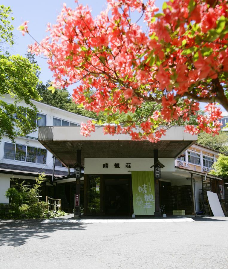 Ichikawa Bekkan Seikanso Shibukawa Экстерьер фото